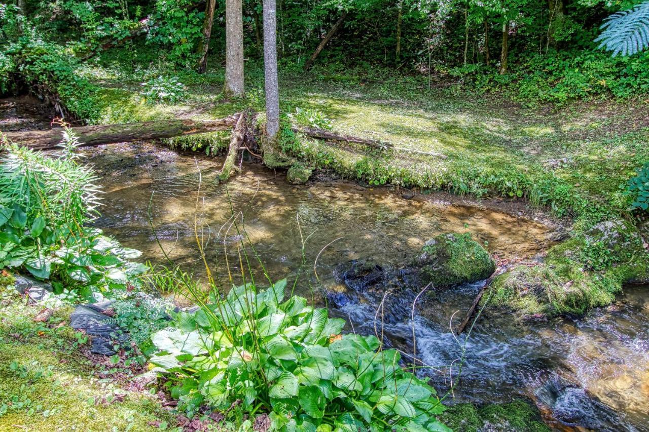 Black Bear Falls - With An In-Law Suite Gatlinburg Exterior photo